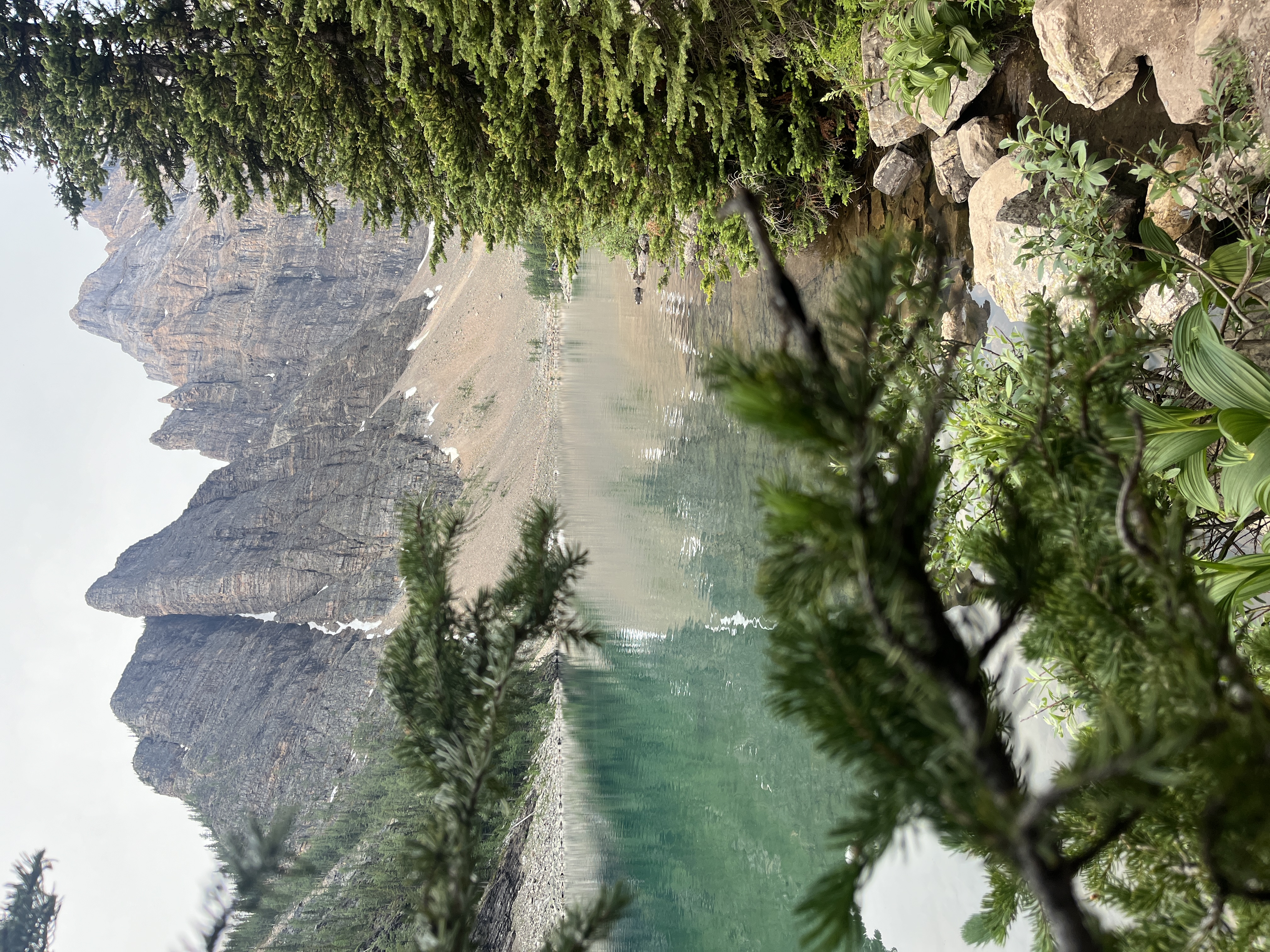 Lake Louise viewed from Big Beehive summit
