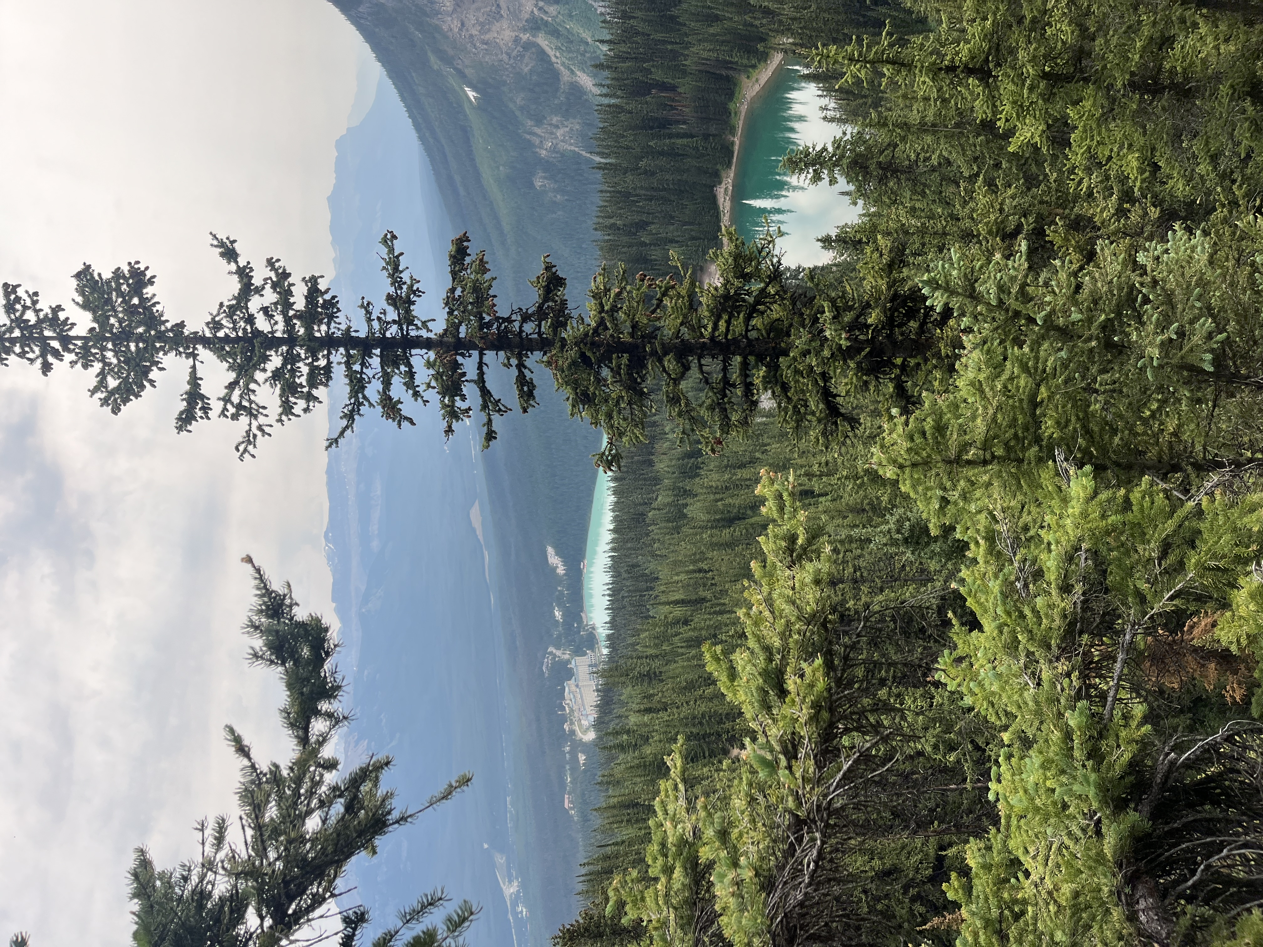 Lake Louise from Big Beehive alternate angle
