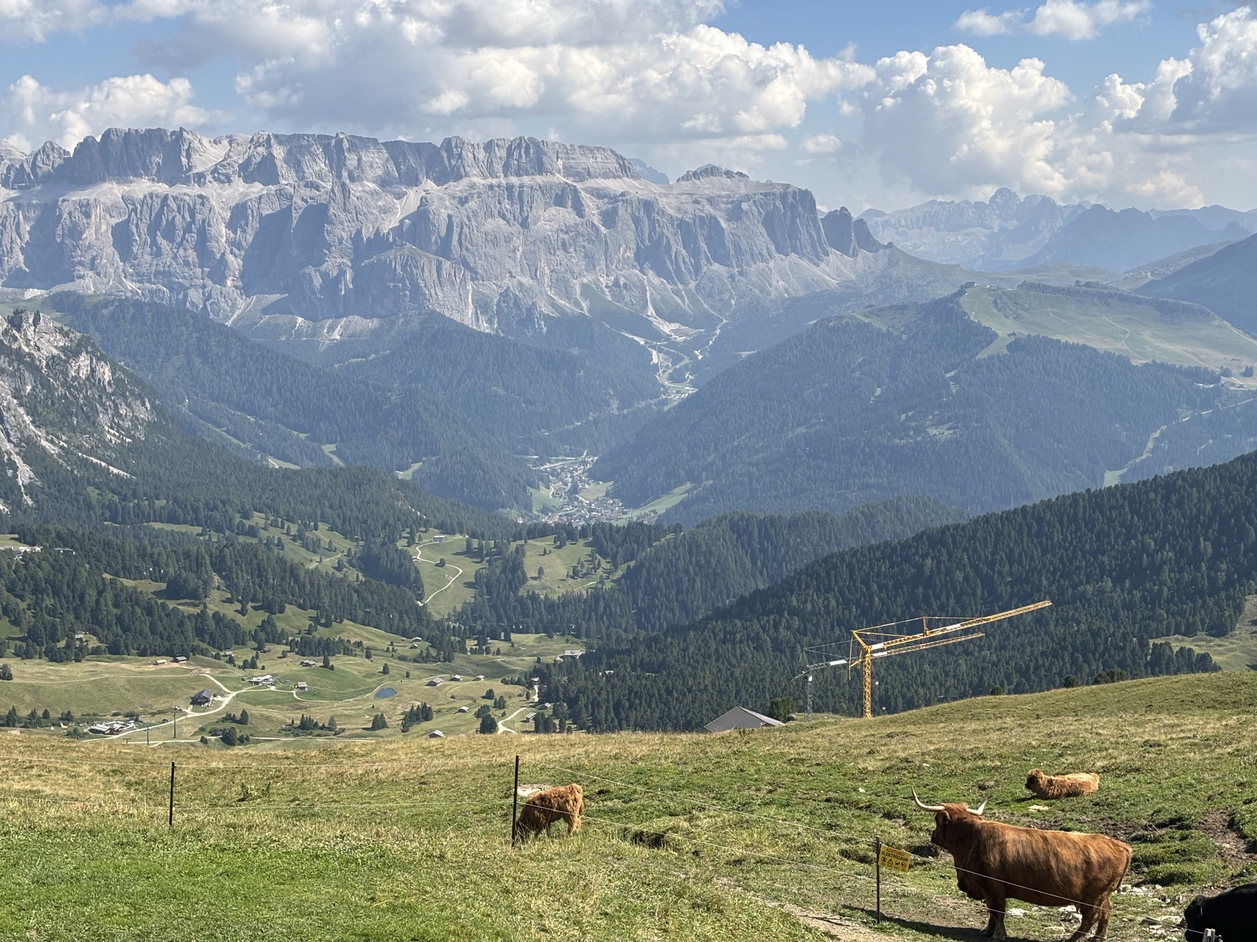 Wide panorama of the Odle group from Seceda ridge