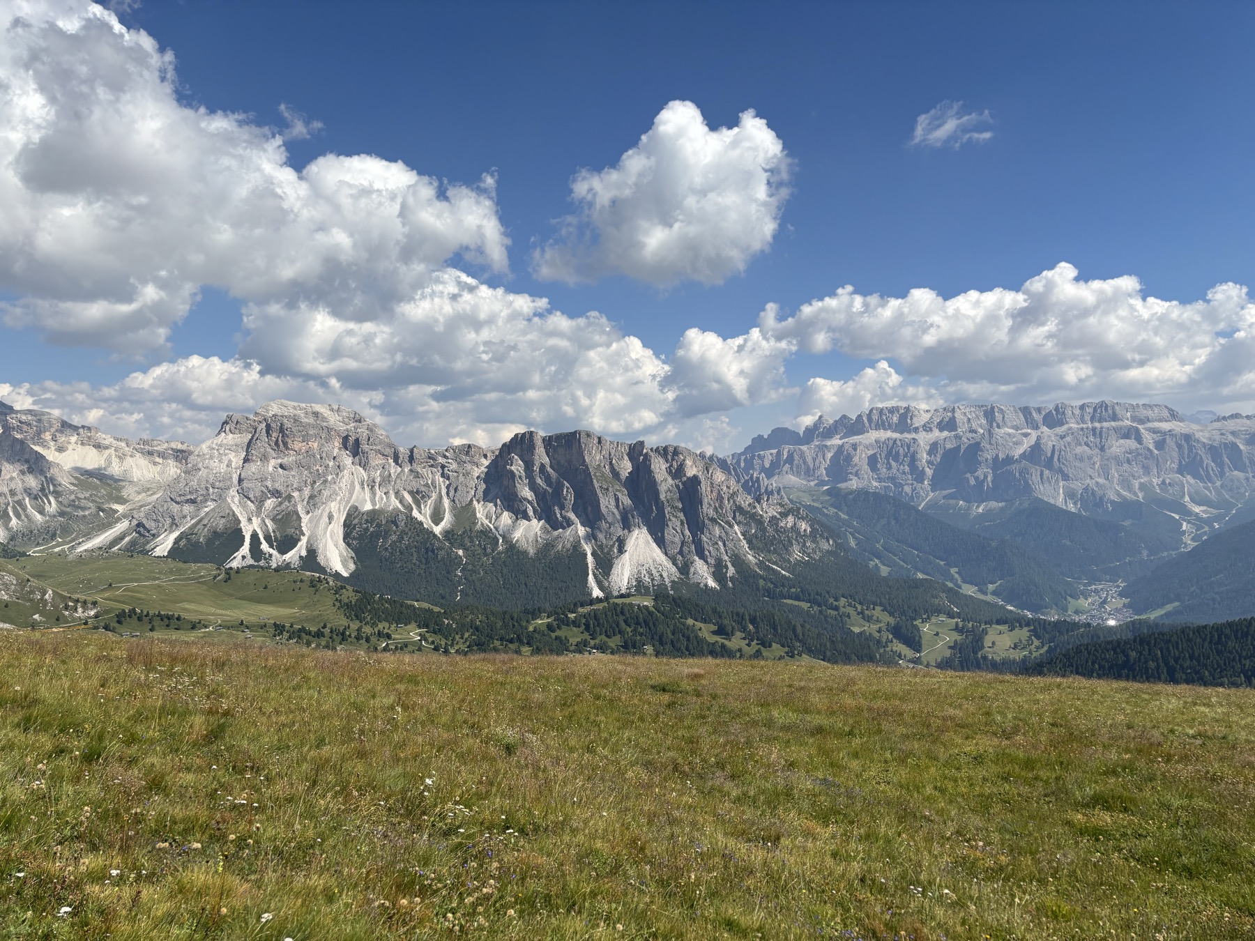 Val Gardena green meadow with mountain backdrop